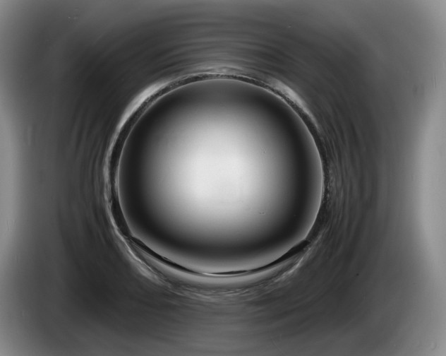 X0000085291082200703091405