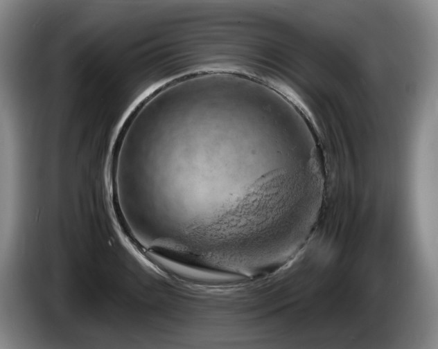 X0000085291084200703091405