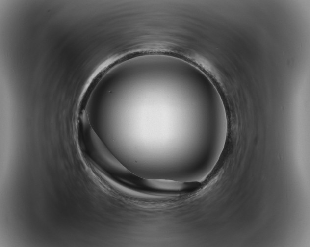 X0000085291085200703091405