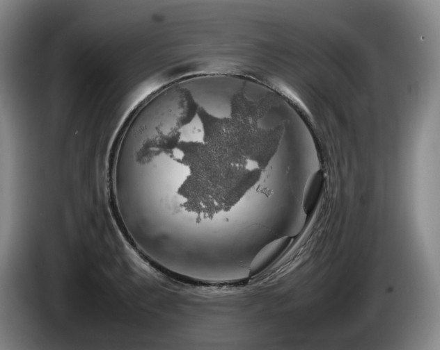 X0000085291087200703091405