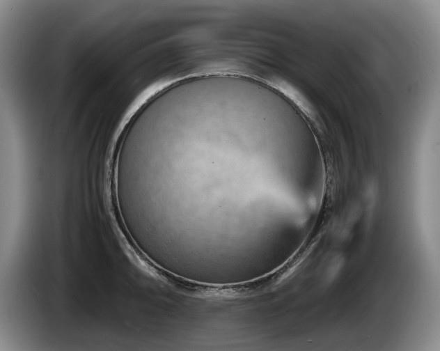 X0000085291094200703091405