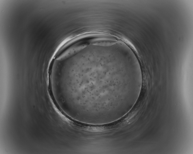X0000085291095200703091405