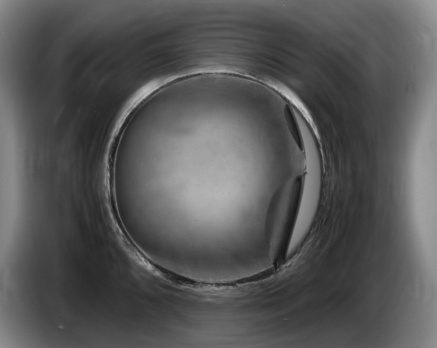 X0000085291096200703091405
