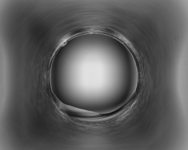 X0000085291097200703091405