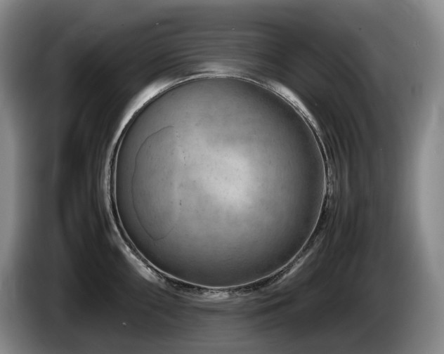 X0000085291098200703091405