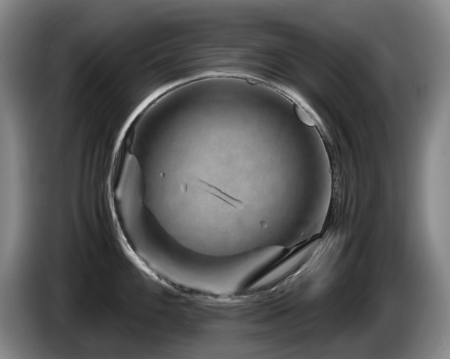 X0000085291100200703091405