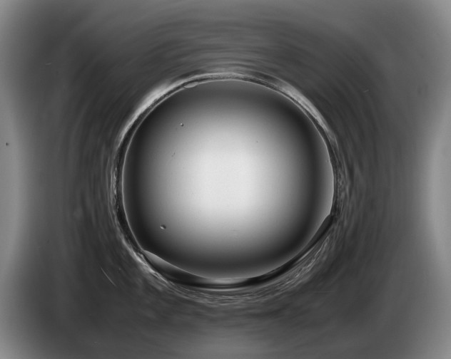 X0000085291101200703091405