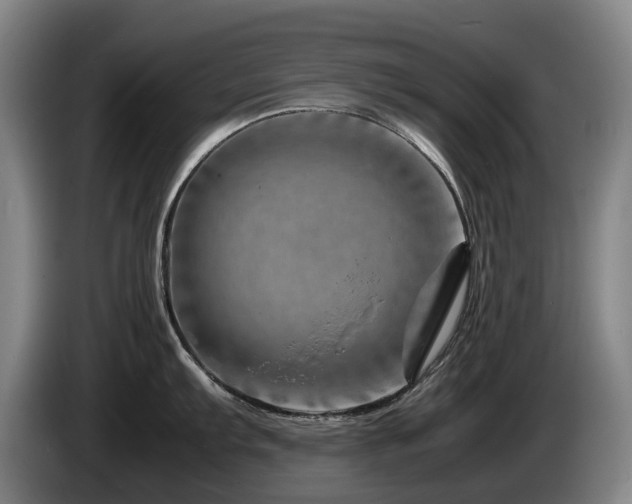X0000085291103200703091405
