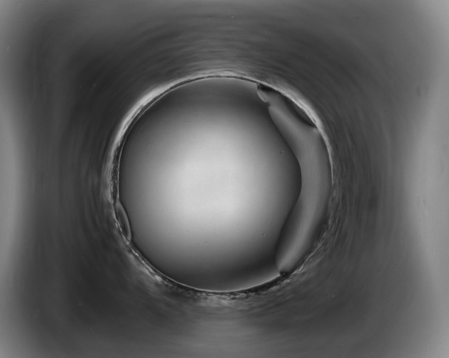 X0000085291104200703091405