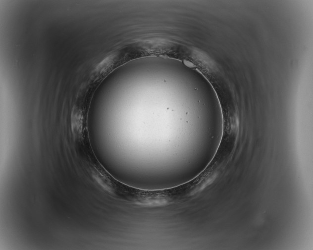 X0000085291108200703091404