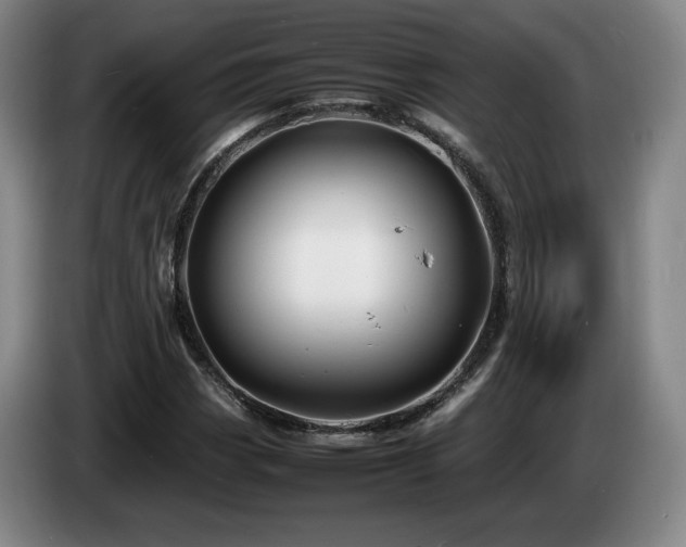 X0000085291113200703091404