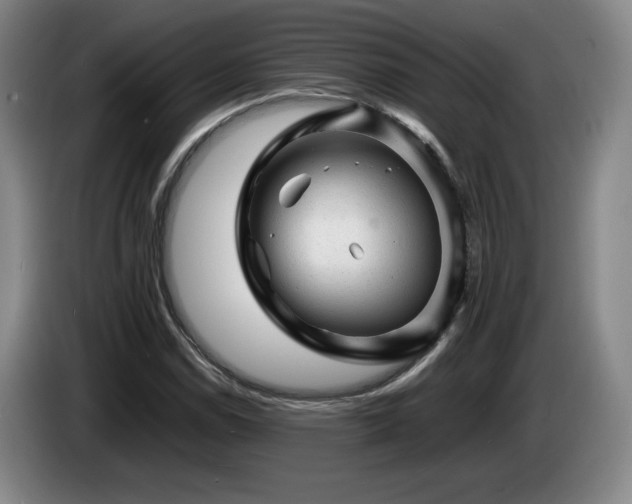 X0000085291114200703091404
