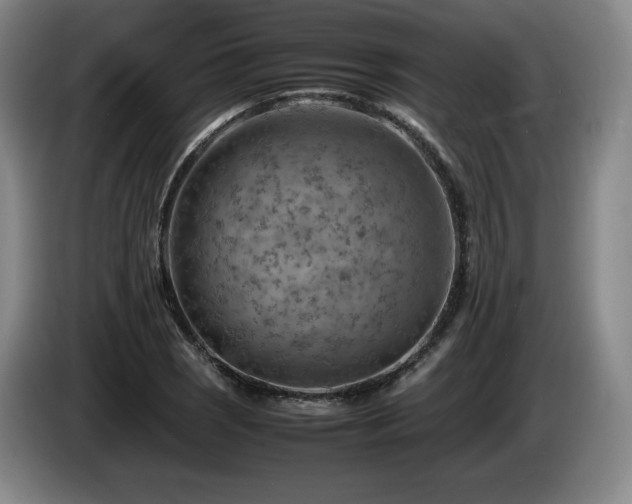 X0000085291121200703091404