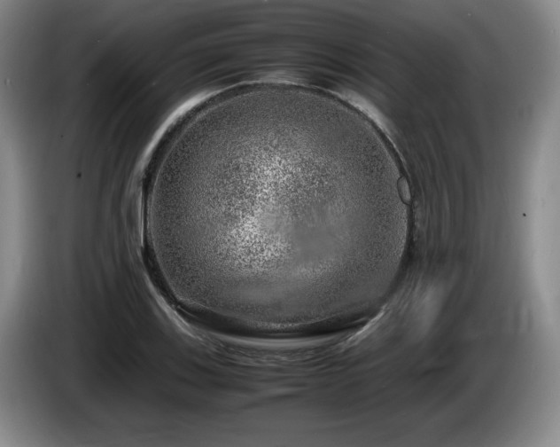 X0000085291123200703091404