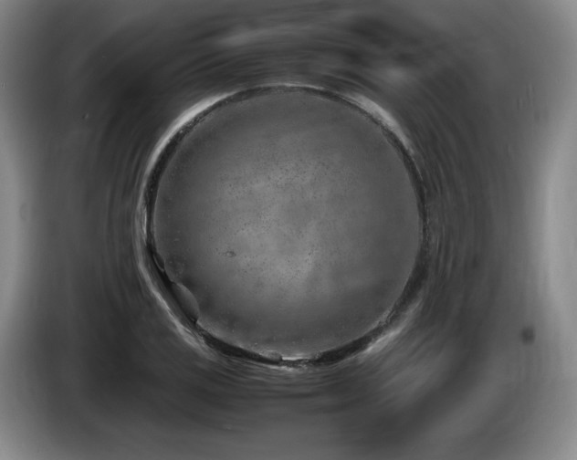 X0000085291125200703091404