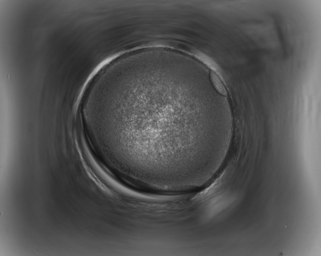 X0000085291127200703091404