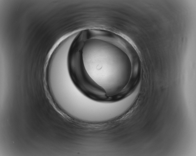X0000085291128200703091404