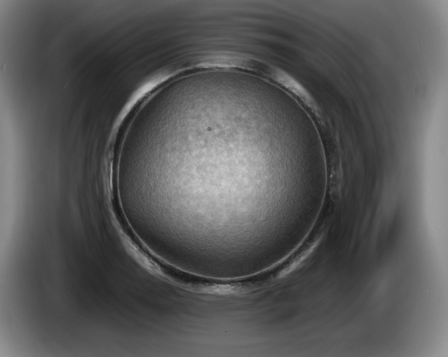 X0000085291130200703091404