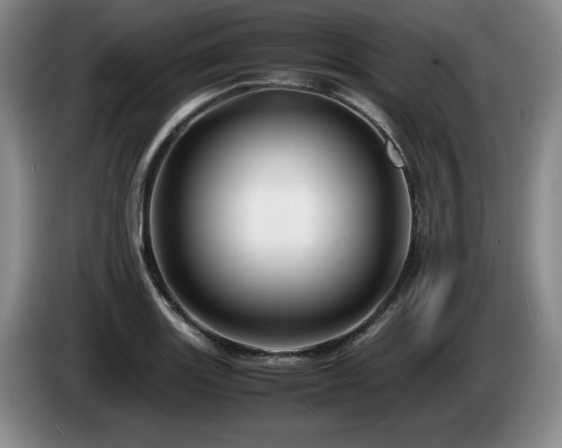 X0000085291131200703091404
