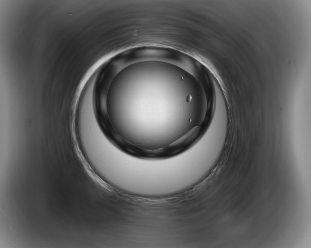 X0000085291136200703091404