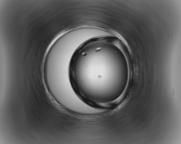 X0000085291138200703091404