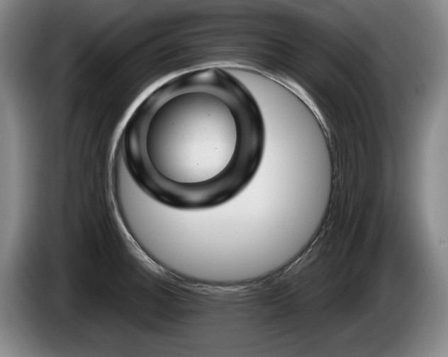X0000085291140200703091404