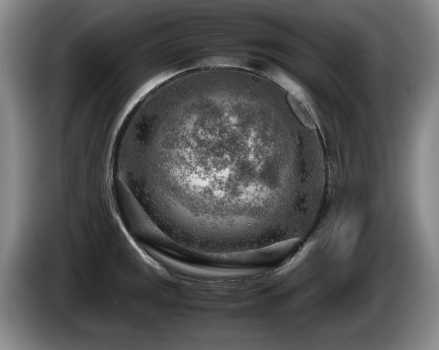 X0000085291141200703091404