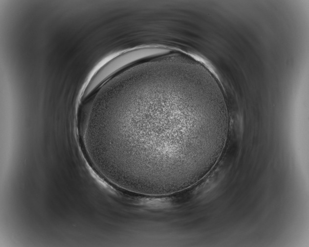 X0000085291143200703091404