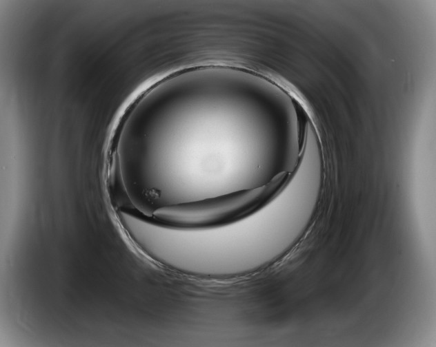 X0000085291144200703091404