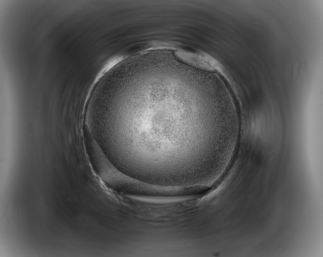 X0000085291145200703091405