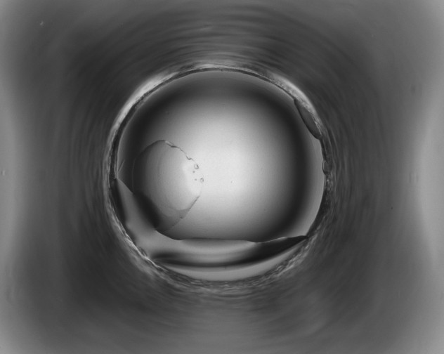 X0000085291146200703091405