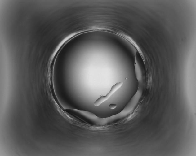 X0000085291148200703091405