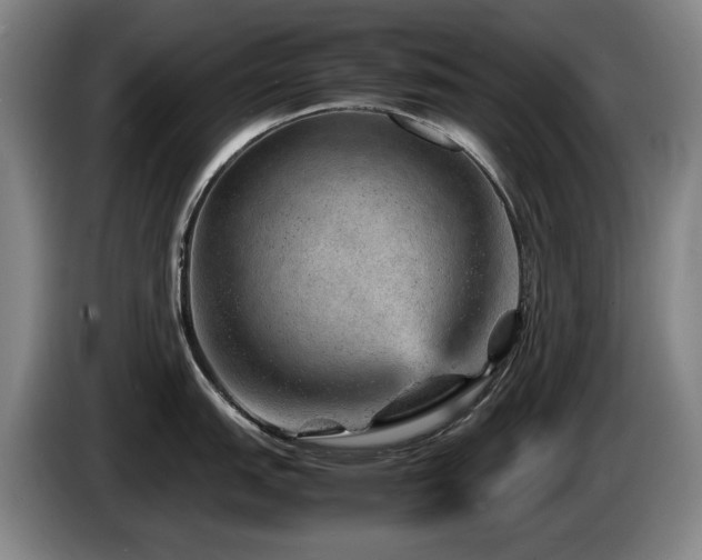 X0000085291151200703091405