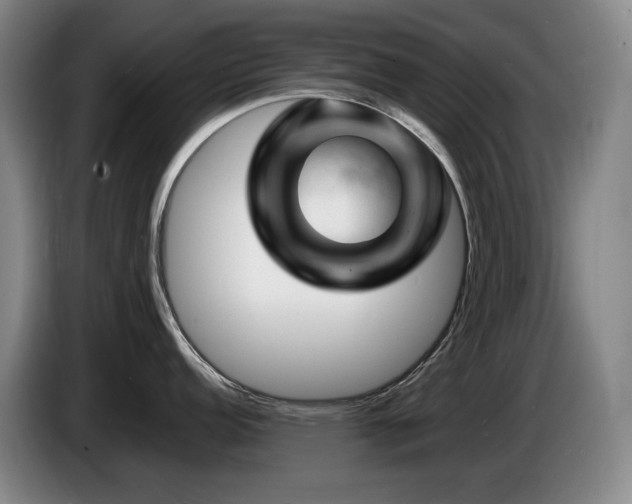 X0000085291152200703091405