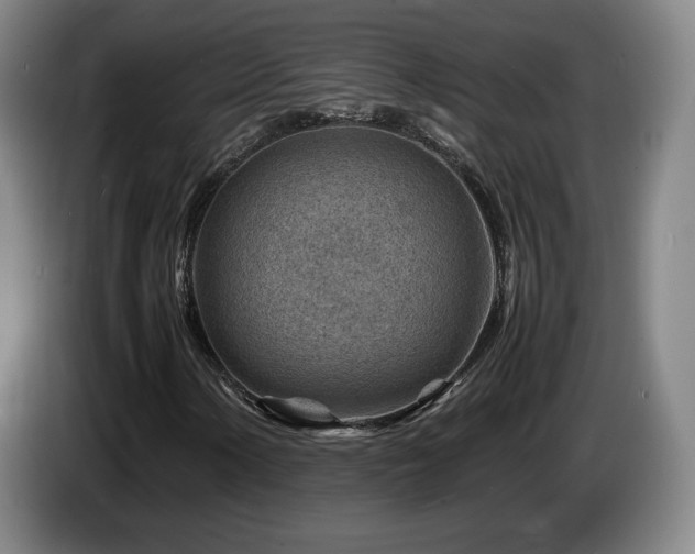 X0000085291154200703091404