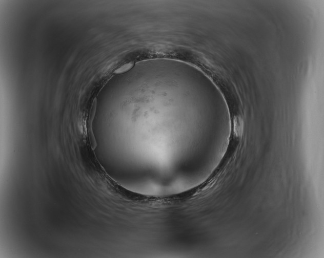 X0000085291155200703091404