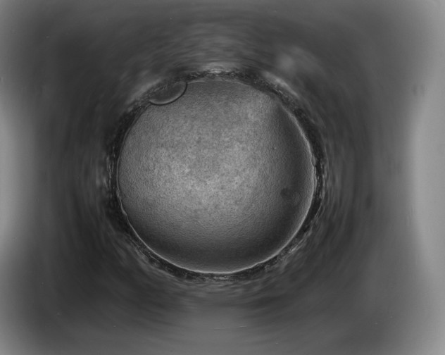 X0000085291158200703091404