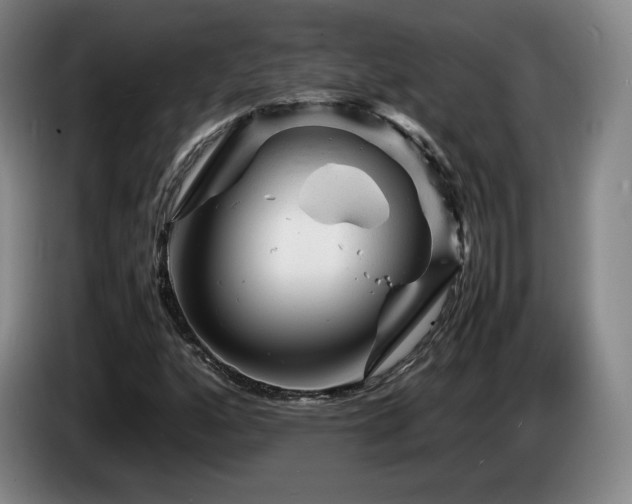 X0000085291160200703091404