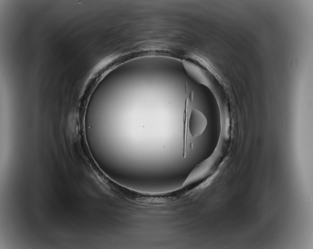 X0000085291164200703091404