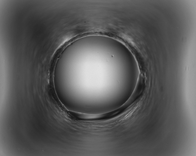 X0000085291165200703091404