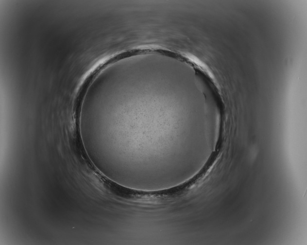 X0000085291167200703091404