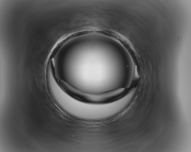 X0000085291168200703091404