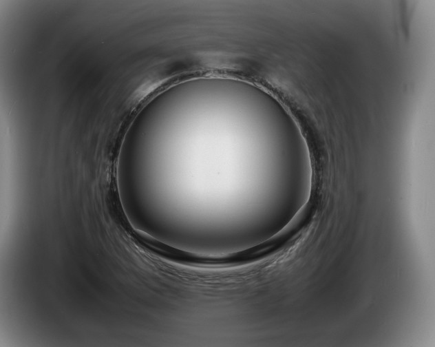 X0000085291169200703091404