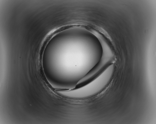 X0000085291172200703091404
