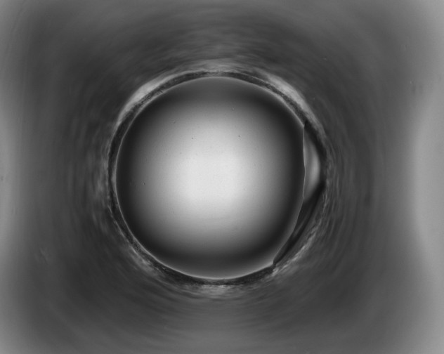 X0000085291176200703091404