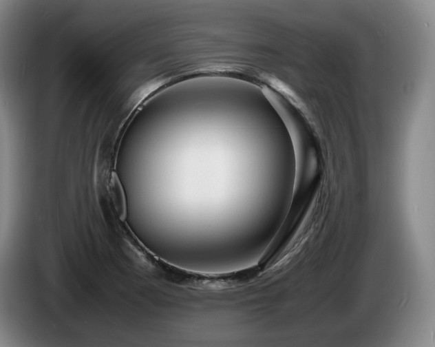 X0000085291177200703091404