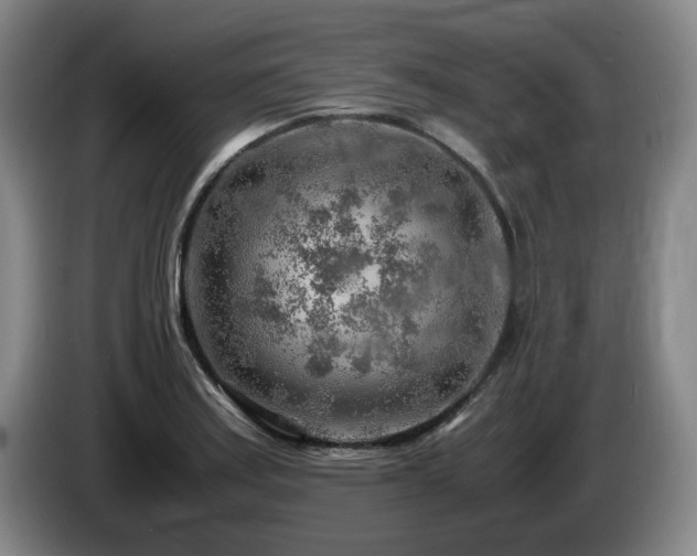 X0000085291179200703091404