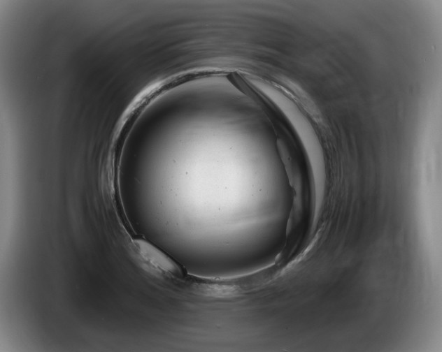 X0000085291180200703091404