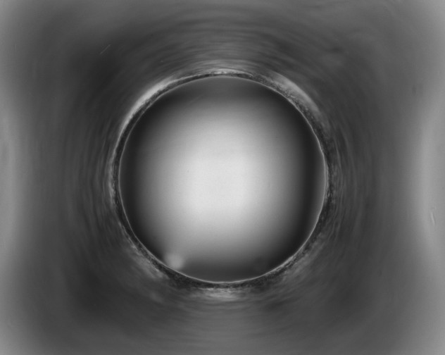 X0000085291182200703091404