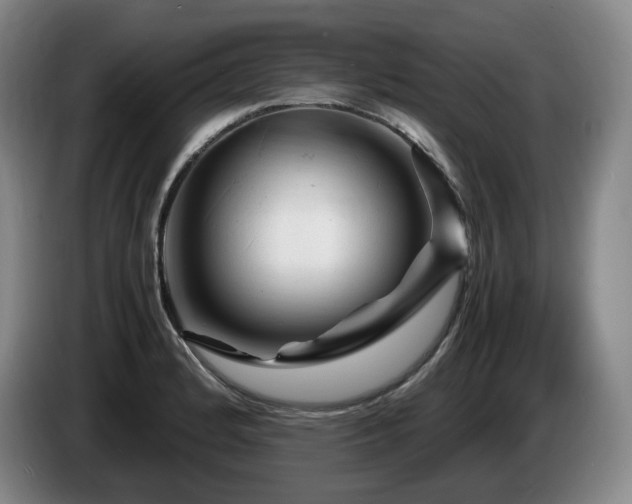 X0000085291184200703091403